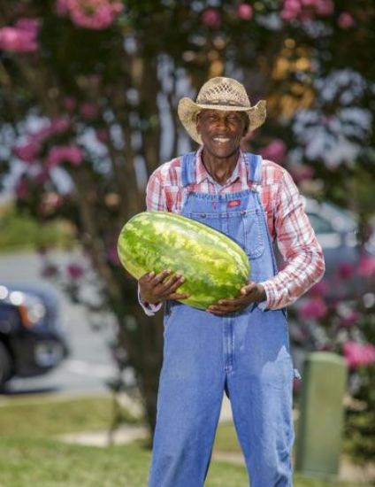 Picture of The WaterMelon Man in Woodbridge, Virginia at 15807 Jefferson Davis Highway, 22191 right beside the WaWa gas station (WEEKENDS ONLY)) from 10:00 am - 6:00pm
