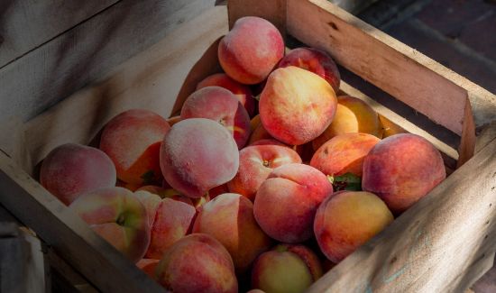 Picture of The People's Market; Farm To Door Experience in DC