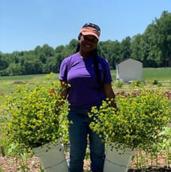 Picture of The People's Market; Farm To Door Experience in DC